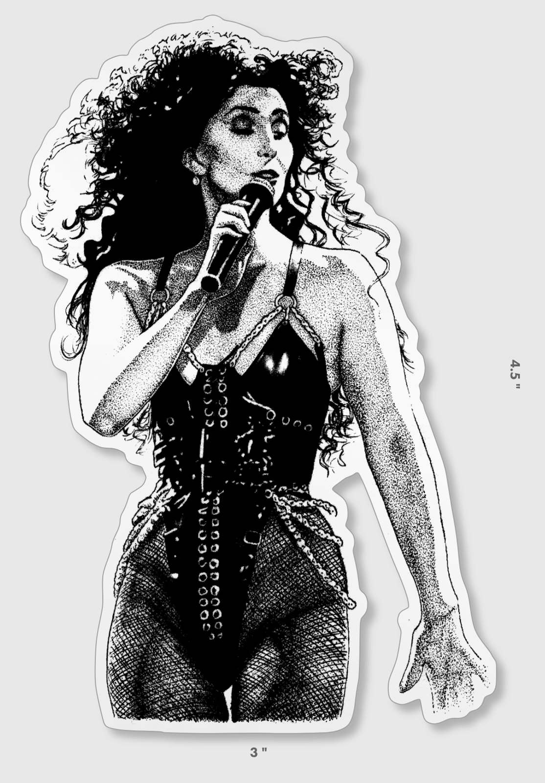 CHER - POSTER — Mobshity